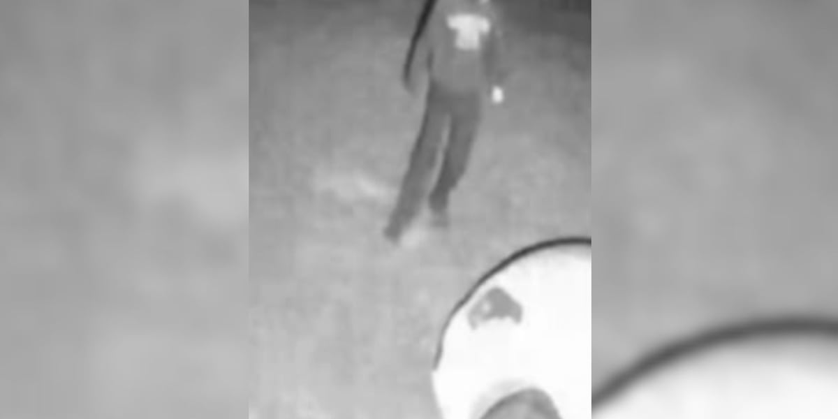 Anderson Co. deputies need help identifying suspect in car break