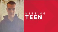 Hamburg Police looking for missing teen