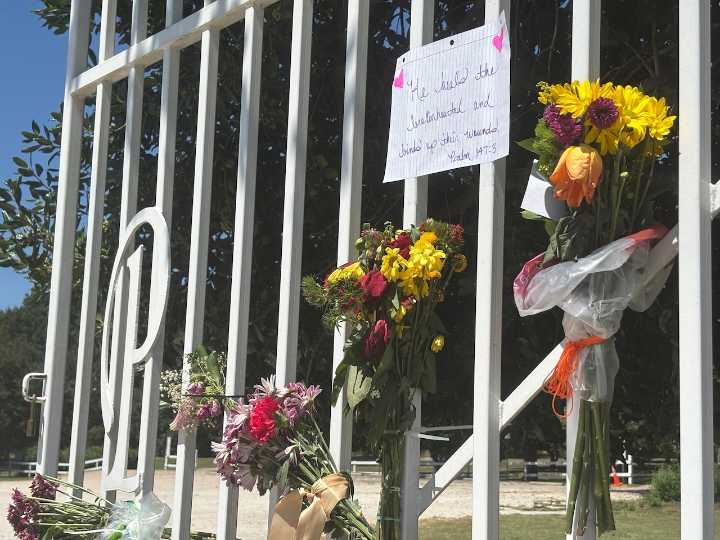 Killing of former Auburn professor walking her dog at city park shakes community