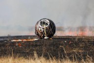Rusia mandó 75 ratones al espacio en una cápsula de diseño soviético. Han vuelto todos menos 10
