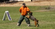 Sheriff's Advisory Foundation holds annual Sheriff's Family Day