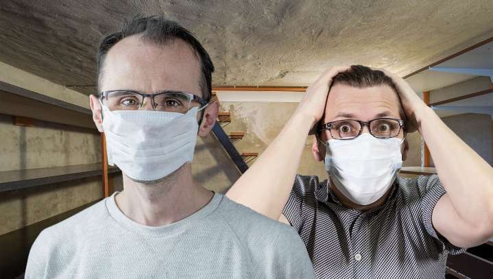 Study: 30% Of People Who Have Been Vaccinated Still Plan To Live The Rest Of Their Lives Hidden In A Basement Just In Case