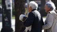 Tarjeta Bip! Adulto Mayor: conoce cómo y dónde conseguirla