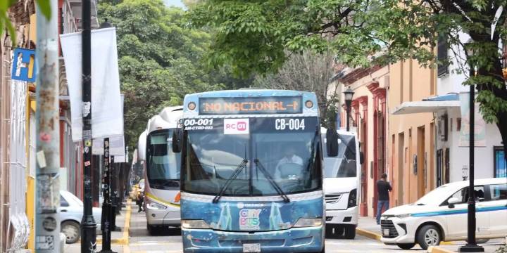 ¿Cuál es el costo real del BinniBbus? ¡te sorprenderá!