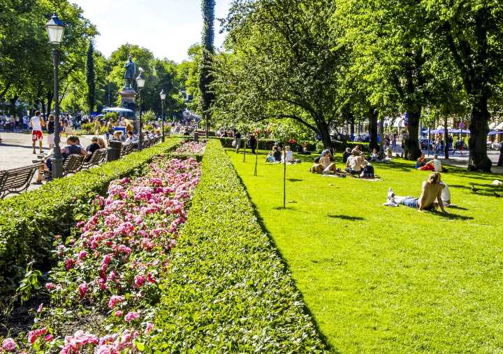 ¿Cómo puede la IA ayudar a mantener los espacios verdes en las ciudades?