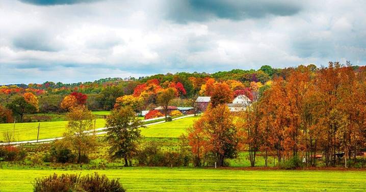 Protect Your Farm From Lawsuits: For What a Man Soweth, He May Also Be Sued About