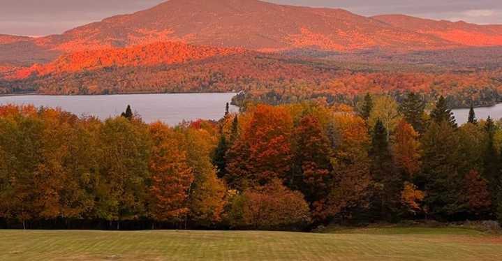 Best Leaf-Peeping Drives With Dog-Friendly Stops In Maine
