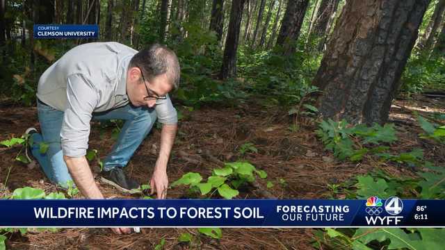 Clemson researcher says soil microbes  aid in forest recovery