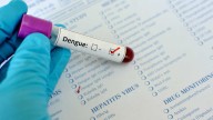 Querétaro Registra la Primer Muerte por Dengue del Año 2025