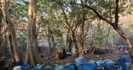 Desmantelan laboratorio de ‘Los Mayos’ y ejecutan incautación histórica de metanfetaminas