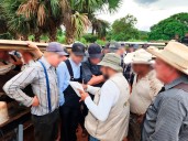 CLAUSURAN DESMONTES ILEGALES: Quintana Roo, estado peninsular más afectado por desforestación de menonitas