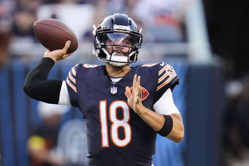 Making predictions for the upcoming Bears season is not for the faint of heart