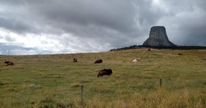Fees waived at national parks and Wyoming state parks next Saturday for National Public Lands Day