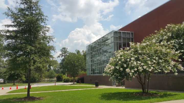 Cary: Arrestan a estudiante por llevar arma de airsoft al campus