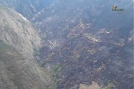 Controlado el incendio forestal de Peñalba de la Sierra