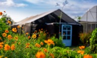 FOTOS: Dale un vistazo a la Finca Jibairo en Río Grande