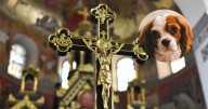 ¿Perros del diablo? Iglesia de Italia veta a perros por beber agua bendita