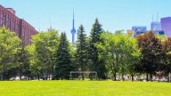 Poll finds quality of life in Toronto on the rise, but critics urge caution
