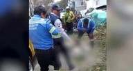 Surco: trabajador municipal de 23 años muere al podar árbol en zona con cables eléctricos 