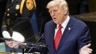 'This was bonkers': Diplomacy expert cringes at Trump's 'out