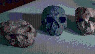 Million-Year-Old Skull Reveals Homo Sapiens Are Nearly Twice As Old As We Thought