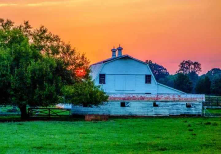 Programa para proteger actividad agrícola en Mecklenburg