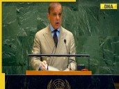 Pakistan's Shehbaz Sharif's BIG statement at UNGA: 'Ready for dialogue...'