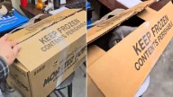 Washington Shelter Staff Fear The Worst Opening A Box Left At The Door, What They Find Brings Pure Joy