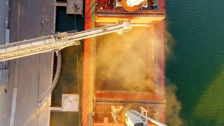 Retenciones cero: siete empresas concentraron el 90% del cupo exportador