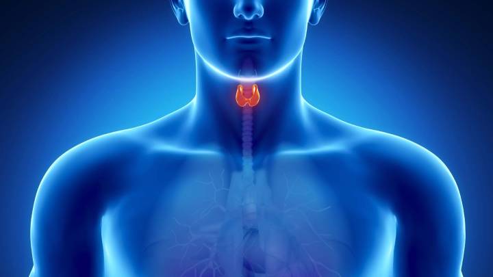 La voz como clave: detectar el cáncer de laringe mediante IA