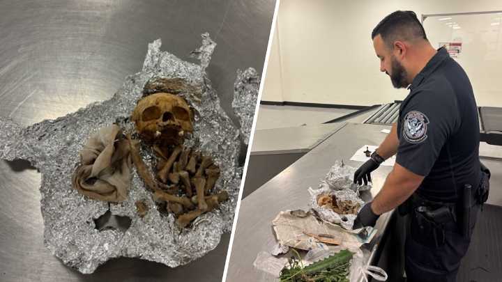 Traveler caught with human remains used ‘for rituals' at Tampa airport: CBP