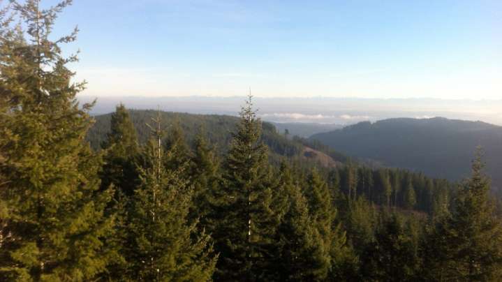 When will temperatures cool in Washington? See average first frost dates