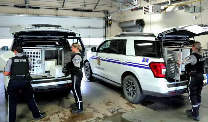 87 animals rescued from Edmonton home, with majority in poor health