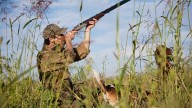 Arizona hunting: Here's what is in season and how to get license