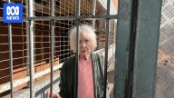Former Exit International coordinator Elaine Arch-Rowe accused of euthanasia drug supply