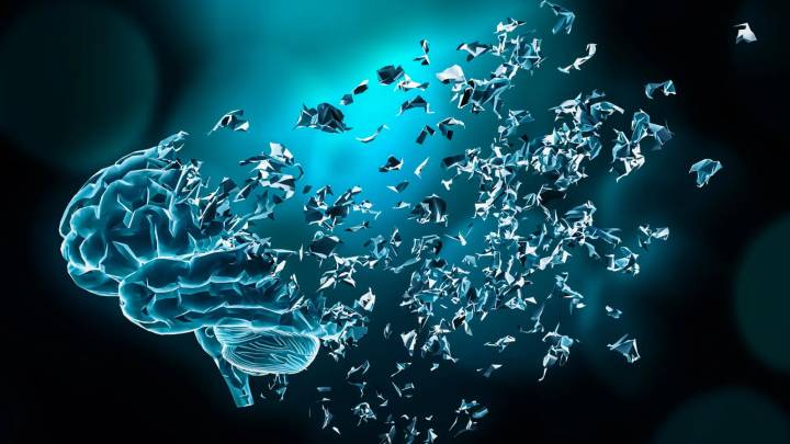 La ciencia investiga por qué se recuerdan algunos momentos de la vida y otros no