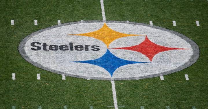 Several Steelers players nominated for Pro Football Hall of Fame's 2026 class