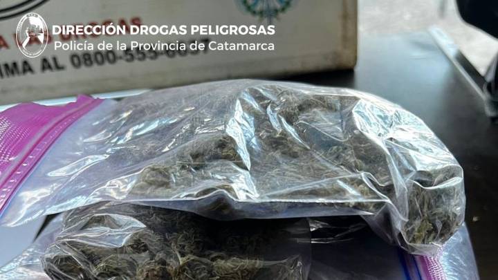 Llevaba 176 gramos de cogollos en colectivo de larga distancia