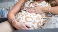 Skin cells could be turned into eggs ‘curing infertility’ in older women and cancer patients, scientists discover