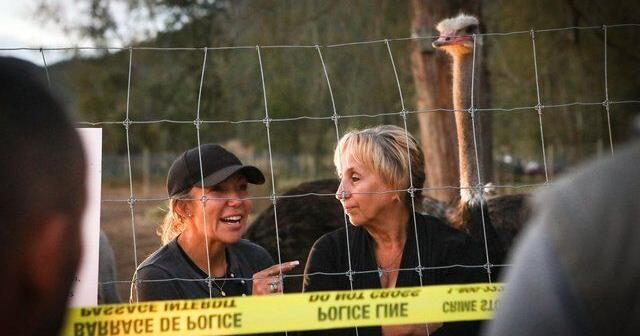 CFIA says B.C. ostrich farmers must leave by Tuesday or face arrest