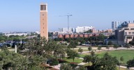Gender-identity content in Texas A&M class leads to firings