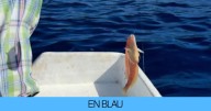 Presentador de TV3 sorprende de pesca por Formentera con buena compañía: "¡A la aventura!"