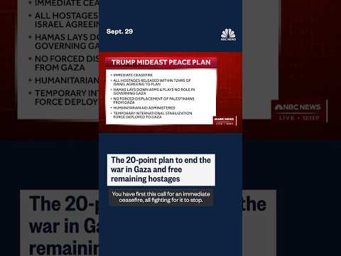 The 20-point plan to end the war in Gaza and free remaining hostages