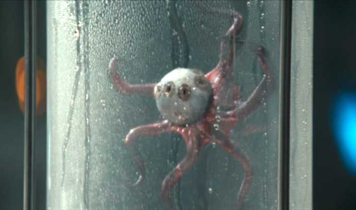 In ‘Alien: Earth,’ No One Can Hear the Eyeball’s Warning