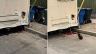 California Puppy Left Chained To A Trailer For Days Sees Kindness For The First Time