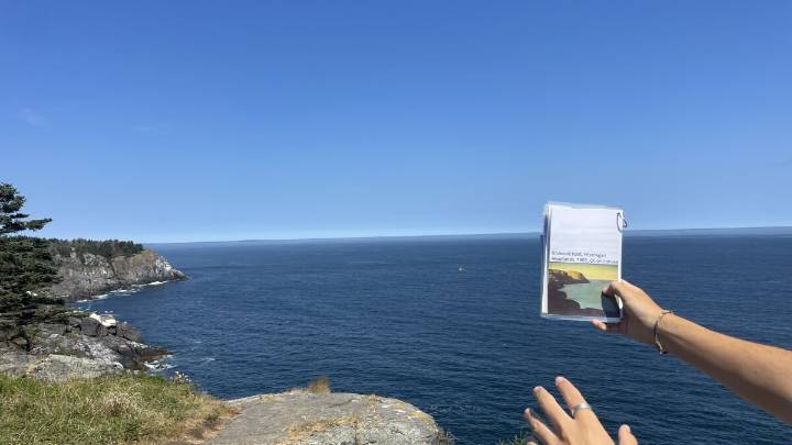 Art used as data drives ecology exhibit on Monhegan Island