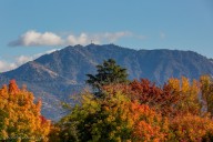 The First Day of Fall Is Here, Even If It Still Feels Like Summer