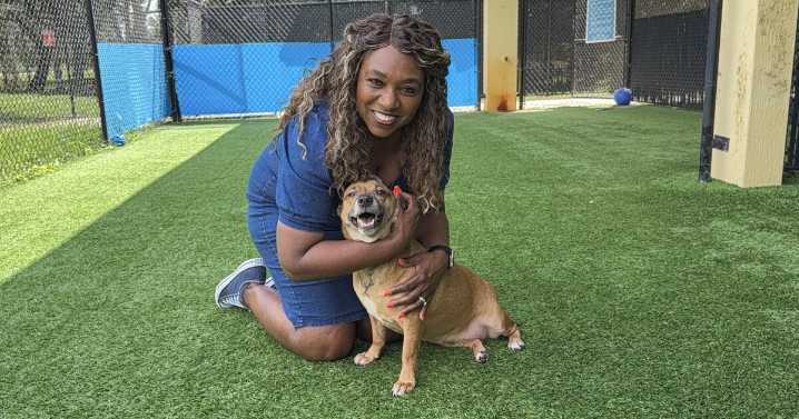 FALL in love with one of our 'Underdogs' of the week!