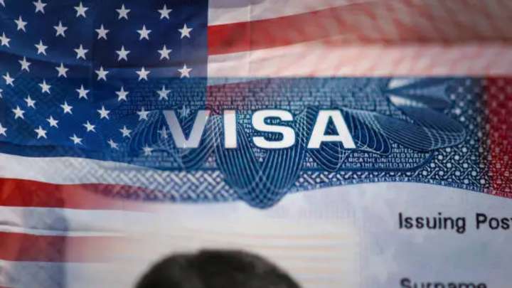 What Is an L1 Visa? Can It Be an Alternative to the H1B Visa? World News