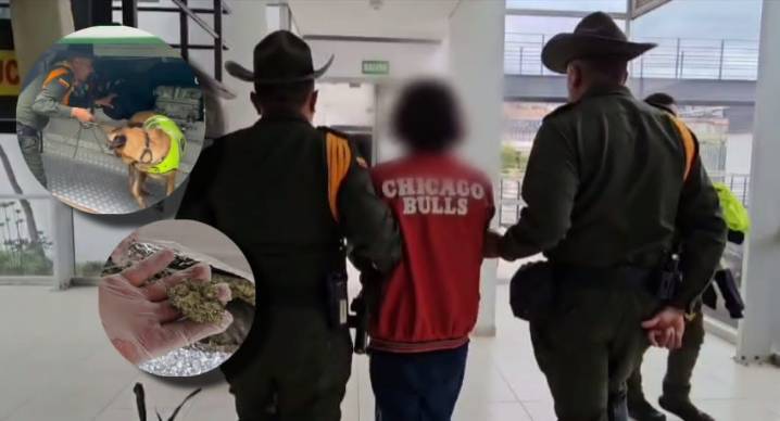 El olfato de un canino detectó estupefacientes y permitió una captura